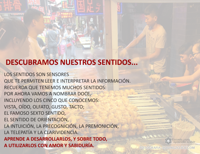Descubramos nuestros sentidos Octubre 04 de 2009